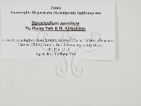 登錄號:F0027777藏品圖，第3張