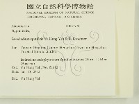 登錄號:F0027778藏品圖，第2張