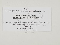 登錄號:F0027779藏品圖，第3張