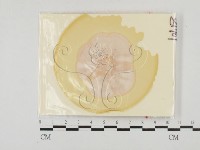 登錄號:F0027779藏品圖，第1張