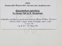 登錄號:F0027780藏品圖，第3張