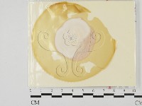 登錄號:F0027780藏品圖，第1張