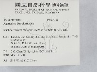 登錄號:F0027781藏品圖，第2張