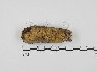 登錄號:F0027785藏品圖，第1張