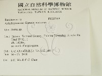 靈芝屬藏品圖，第2張