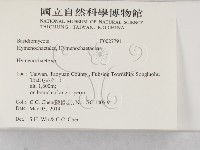 刺革菌屬藏品圖，第2張