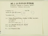 絲齒菌屬藏品圖，第2張