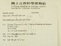 登錄號:F0027795藏品圖，第2張