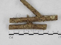 登錄號:F0027795藏品圖，第1張