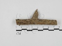 登錄號:F0027795藏品圖，第3張