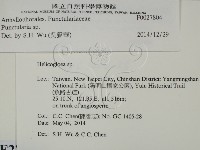 登錄號:F0027804藏品圖，第2張