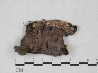 登錄號:F0027804藏品圖，第1張