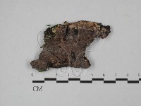 登錄號:F0027804藏品圖，第3張