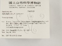 多年臥孔菌屬藏品圖，第2張