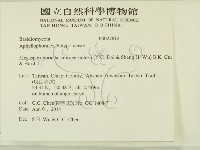 登錄號:F0027812藏品圖，第2張