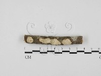登錄號:F0027812藏品圖，第3張