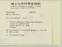 登錄號:F0027813藏品圖，第2張
