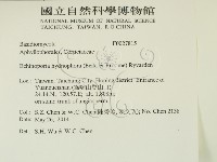 登錄號:F0027815藏品圖，第2張