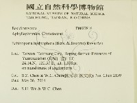 登錄號:F0027816藏品圖，第2張