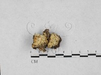 登錄號:F0027816藏品圖，第1張