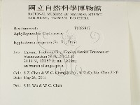 剛毛絲皮菌藏品圖，第2張