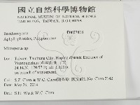 小孔菌屬藏品圖，第2張