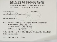 絲皮菌屬藏品圖，第2張