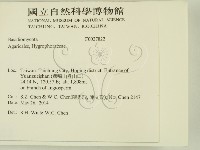 登錄號:F0027822藏品圖，第2張