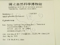 絲齒菌屬藏品圖，第2張