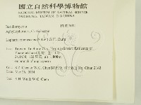 登錄號:F0027832藏品圖，第2張