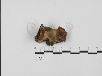 登錄號:F0027832藏品圖，第1張