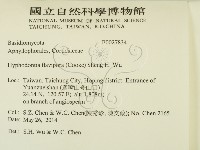 登錄號:F0027834藏品圖，第2張