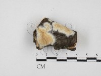 登錄號:F0027835藏品圖，第1張