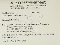 登錄號:F0027837藏品圖，第2張