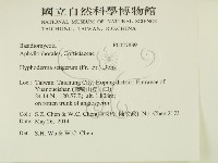 剛毛絲皮菌藏品圖，第2張