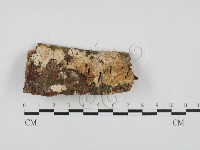 登錄號:F0027841藏品圖，第1張