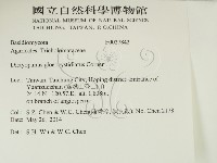 登錄號:F0027842藏品圖，第2張