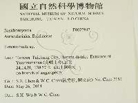 刺皮菌屬藏品圖，第2張