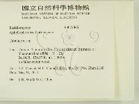 登錄號:F0027846藏品圖，第2張