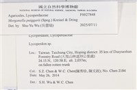 登錄號:F0027848藏品圖，第3張