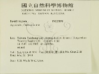 登錄號:F0027851藏品圖，第2張