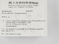 木層孔菌屬藏品圖，第2張