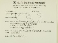 絲齒菌屬藏品圖，第2張