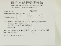 登錄號:F0027858藏品圖，第2張