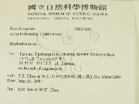 絲齒菌屬藏品圖，第2張