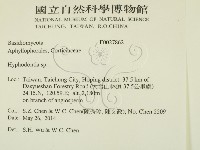 絲齒菌屬藏品圖，第2張