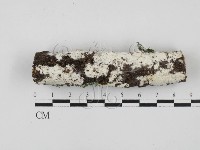 登錄號:F0027863藏品圖，第1張