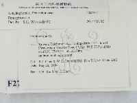 筍殼菌屬藏品圖，第2張