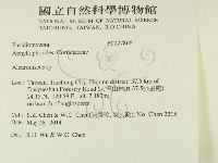 盤革菌屬藏品圖，第2張