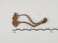 登錄號:F0027867藏品圖，第1張